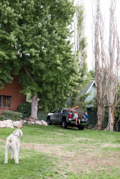 Sept 2017 brush web (1 of 7)