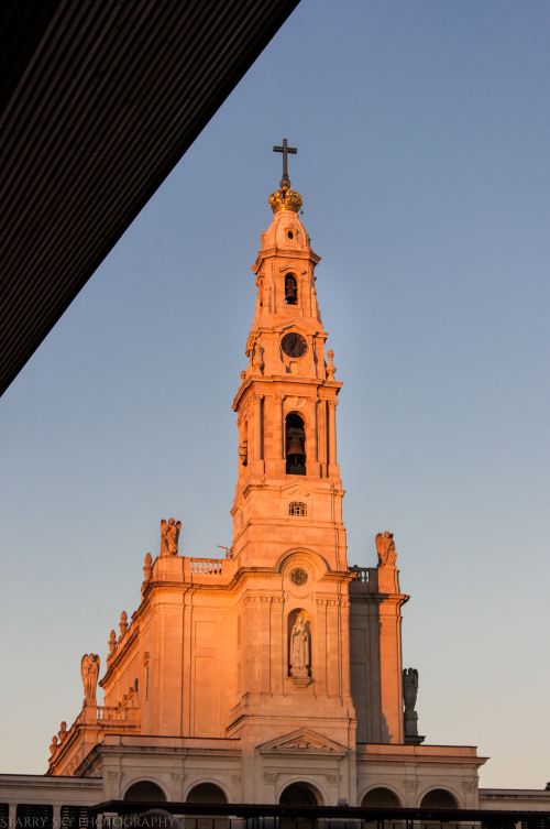 2014 fatima web (3 of 5)