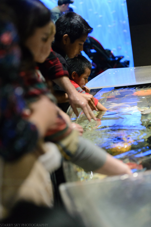 Oct 2017 aquarium web (5 of 9)