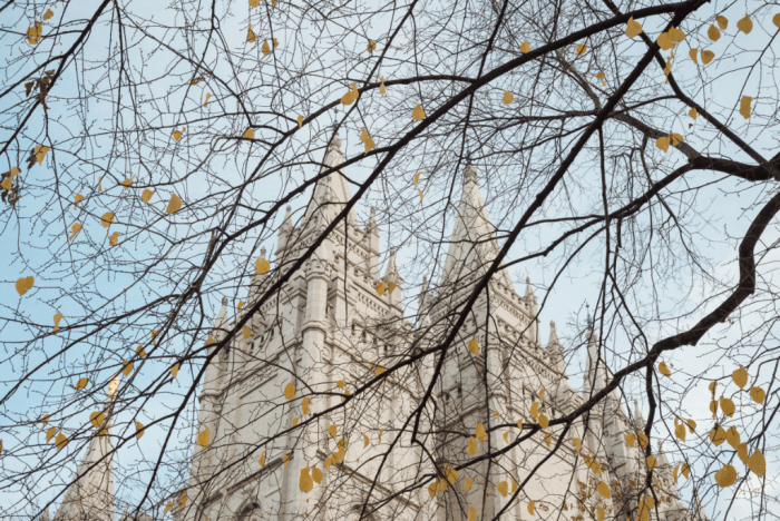 Dec 2017 downtown  web (7 of 8)