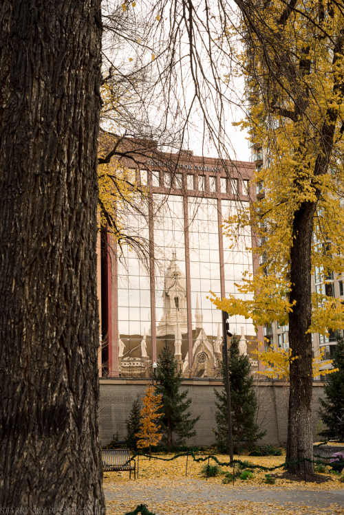 Dec 2017 downtown  web (7 of 8)