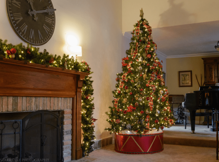 Dec 2017 tree  web (1 of 1)