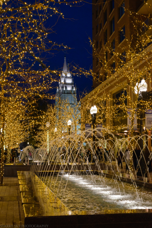 Dec 2017 downtown  web (7 of 8)