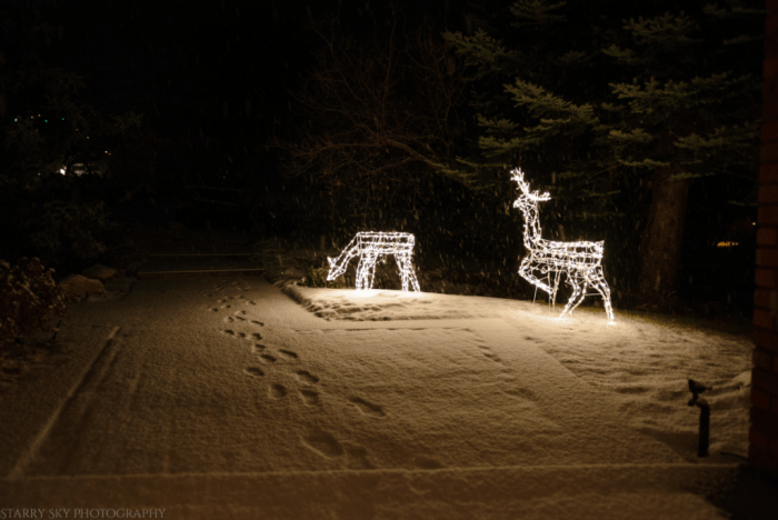 Dec 2017 cmas  web (7 of 11)