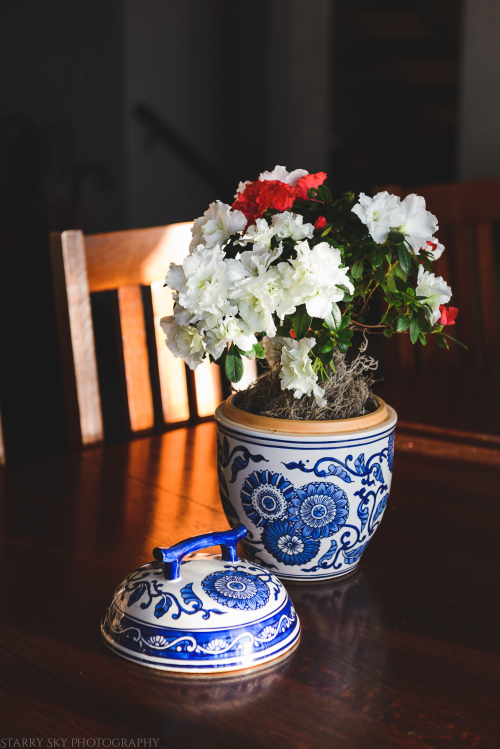 Feb 2018 floral web (1 of 1)