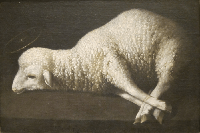 Agnus_Dei_(The_Lamb_of_God)_by_Zurbarán _San_Diego_Museum_of_Art