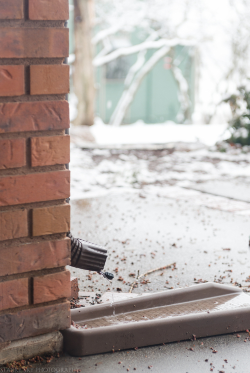 Mar 2018 st joseph web (1 of 1)-2