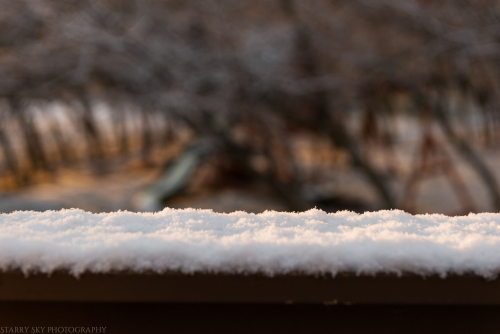 Mar 2018 deck yard web (1 of 1)