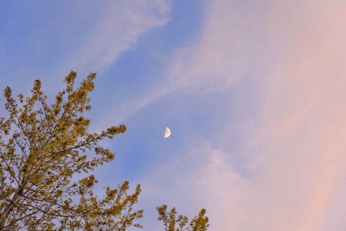 Apr 2018 holly web (1 of 1)