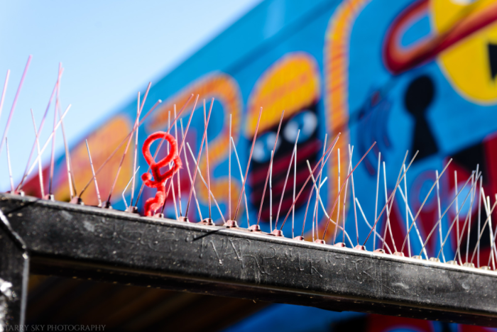 Apr 2018 central market web (9 of 13)