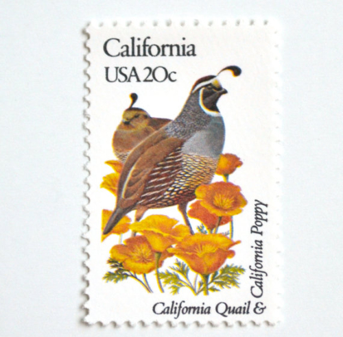 Quail stamp