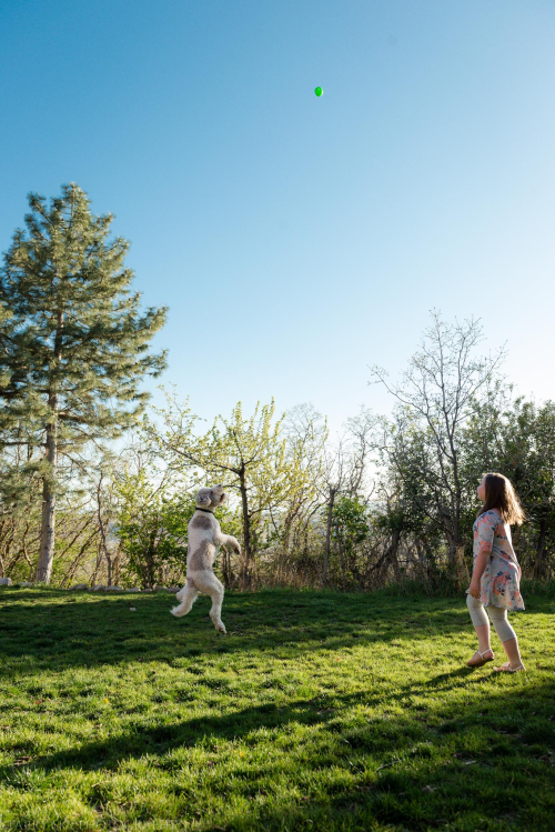 Apr 2018 abbie archie web (1 of 1)