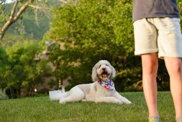 May  2018 backyard web (3 of 7)