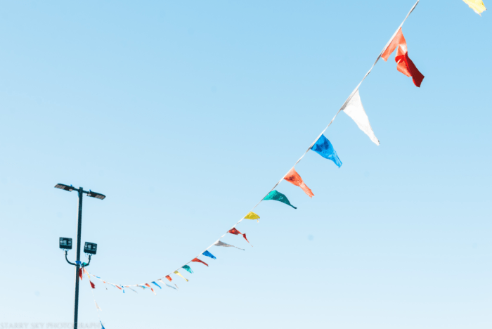 Jun 2018 ice cream web (8 of 9)