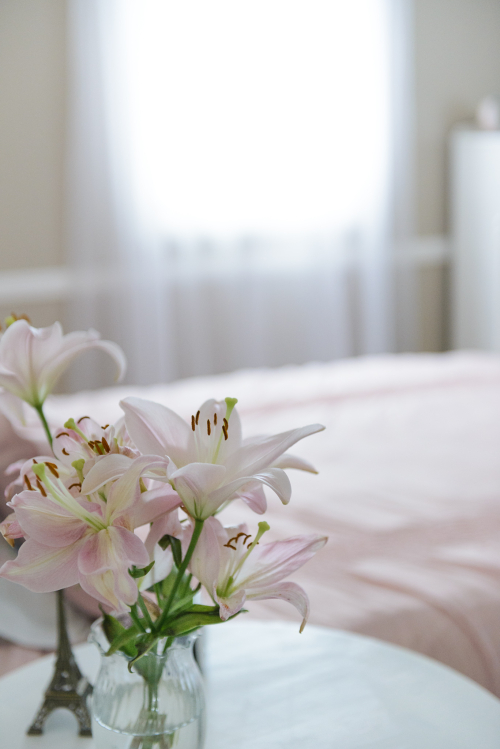 Aug 2018 lilies web (1 of 1)