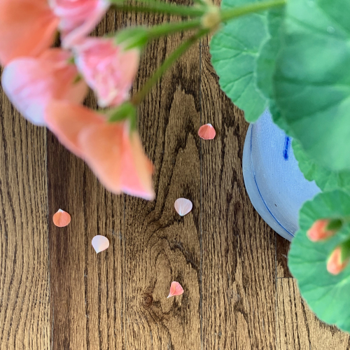 9AE28808-0672-4279-92F2-C63C052CD986