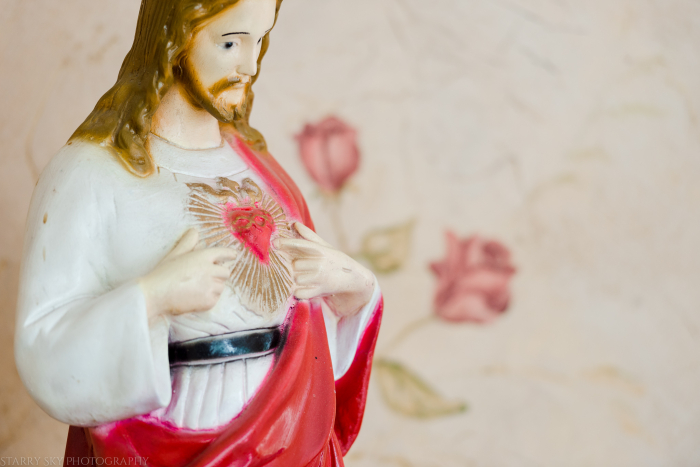 Jun 2019 roses web (1 of 1)