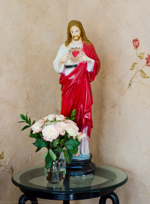 Jun 2019 roses web (1 of 1)