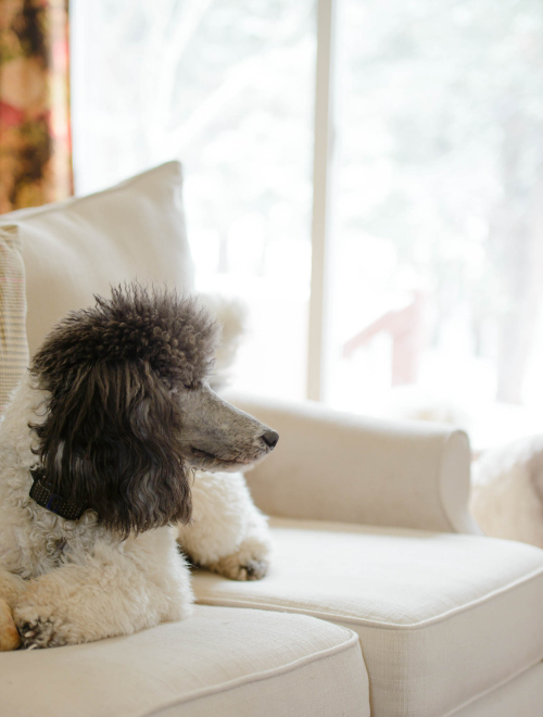 Apr 2020 easter web-9