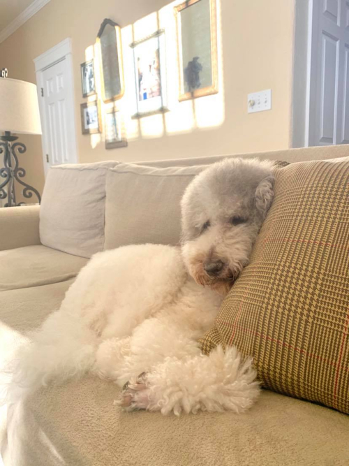 Apr 2020 fball yard web-7