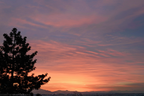 Jan 2017 pink blue sunset web (1 of 1)