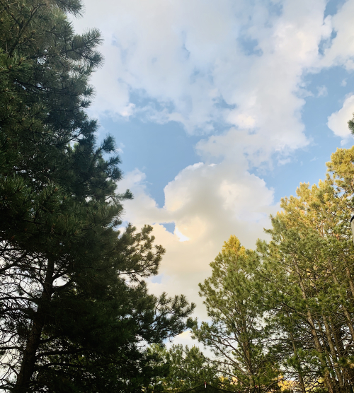 AD056AD6-B1CE-48BE-8E38-76FE3D9D78CC