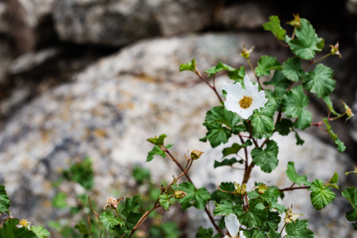 Aug  2020 maddie web-3577