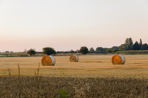 Kenny hill farm book (47 of 120)