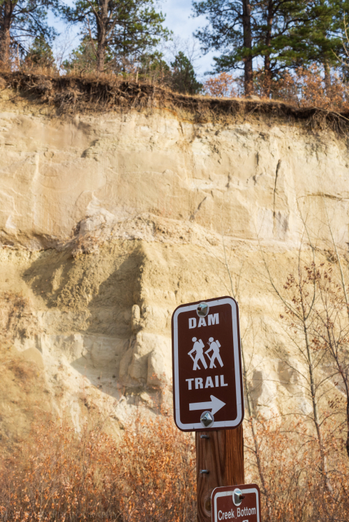 Nov 2020 lake louisa web-6