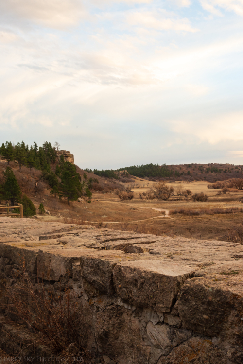 Nov 2020 lake louisa web-6