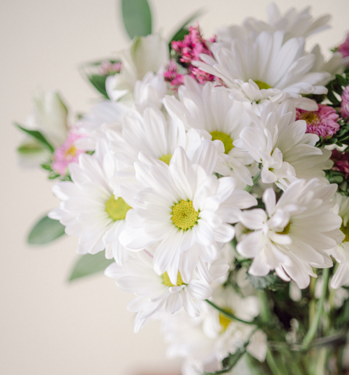 Feb 2021 Valentines web-4