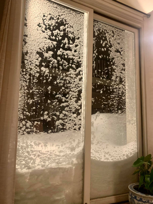 160574150_4051679318196148_1631195912112164669_o