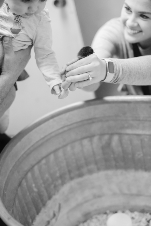 Nov 2022 lucy will field web-12