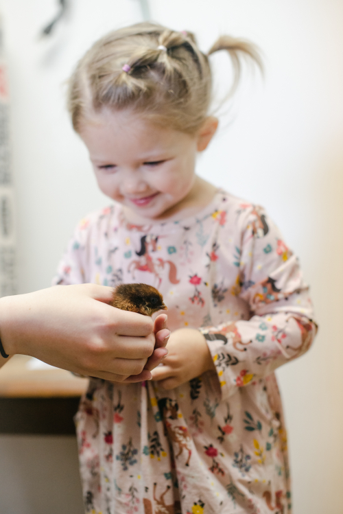 Nov 2022 lucy will field web-12