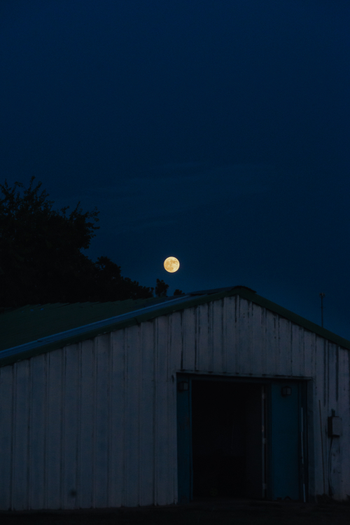 Jul 2021 lake hefner web-2