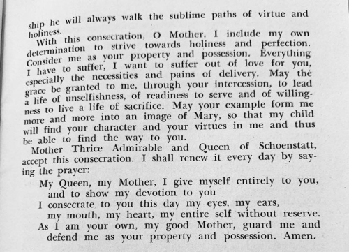 316998941_5578334642203776_7606711379868515786_n