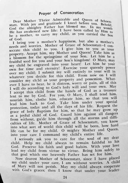 316998941_5578334642203776_7606711379868515786_n