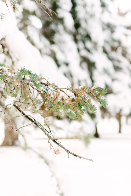 Dec 2022 engagement web-9