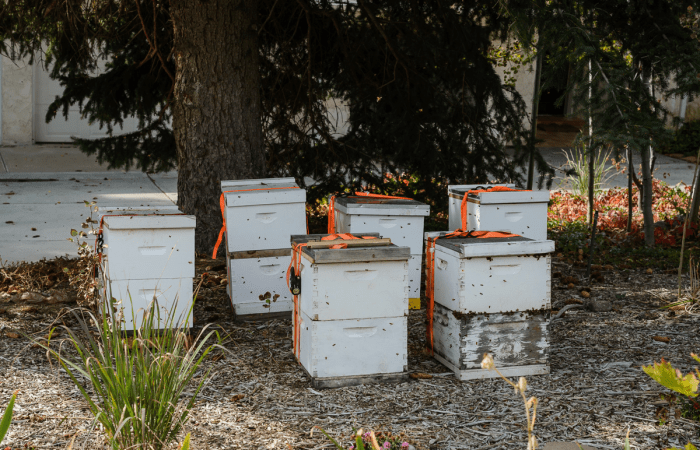 Oct 2015 bike web (6 of 9)