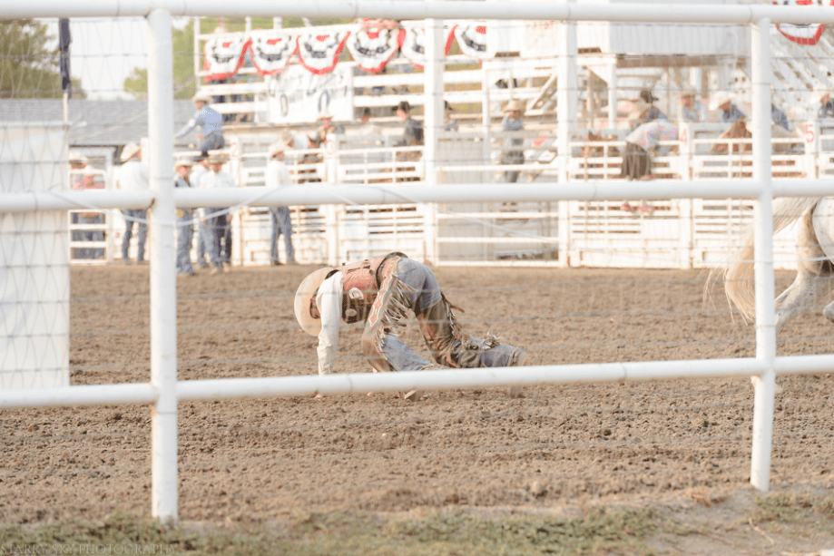 Sept 2015 fair web (18 of 29)