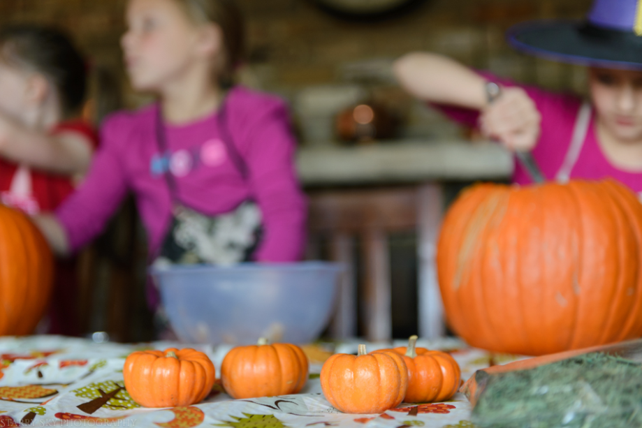 Oct 2015 pumpkins web (2 of 7)