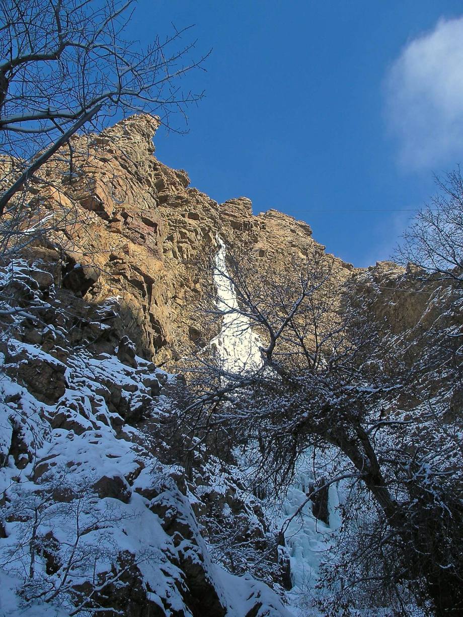 16129218_1472009742811265_204361850_o