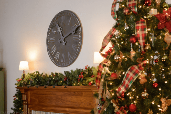 Dec 2016 christmas day web (1 of 1)-2