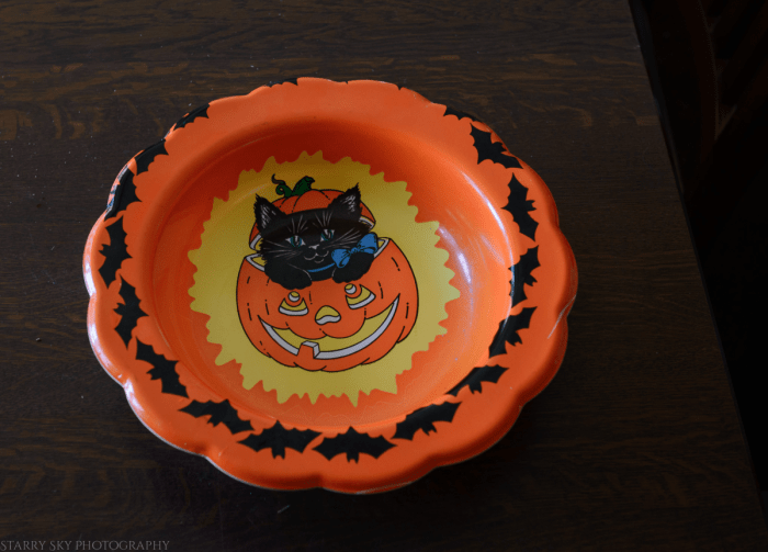 Oct 2016 pumpkins web  (1 of 1)-3