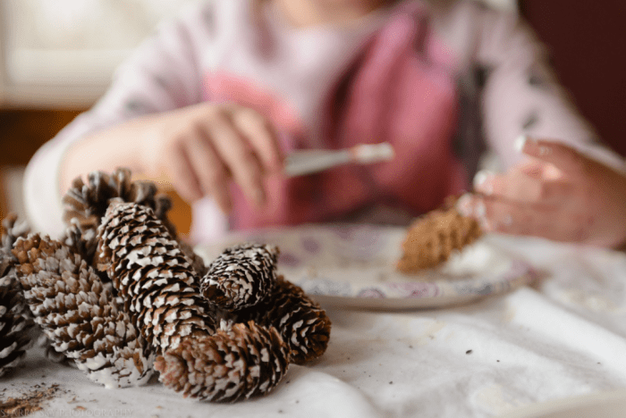 Dec 2016 pinecones web (3 of 3)