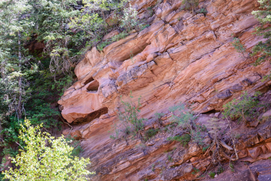 Jun 3017  zion floor hike web (8 of 8)