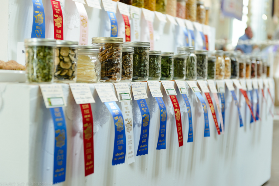 Sept 2015 fair web (1 of 2)-2