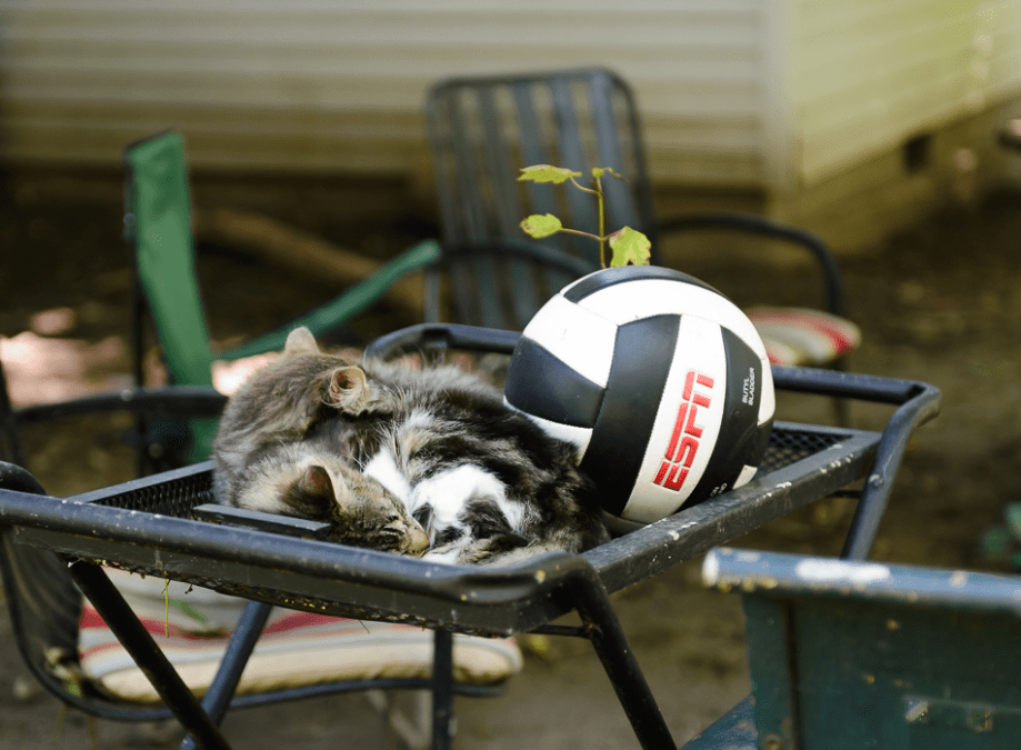 Jun 2015 cabin web (1 of 1)-2