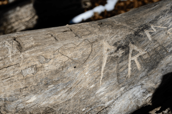 Mar 2015 mt ogden web (1 of 1)