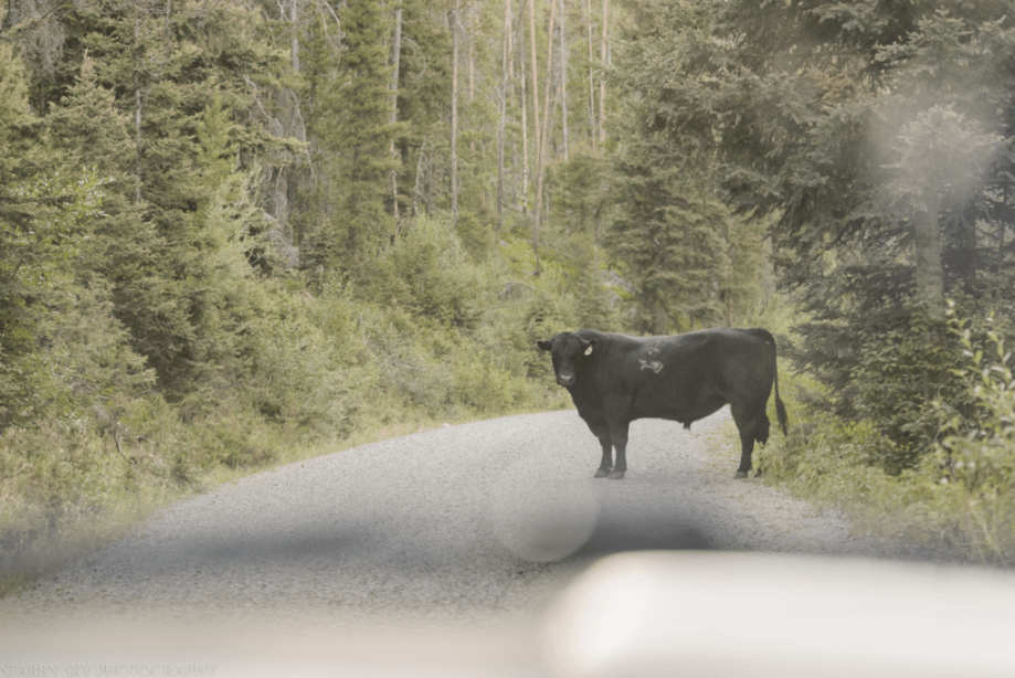 Jul  2016  rv web (1 of 3)